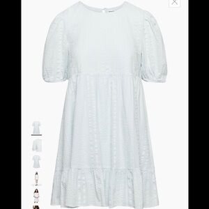 Aritzia Sun-deh Zane Babydoll Dress